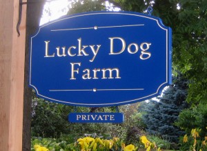 Lucky Dog sign