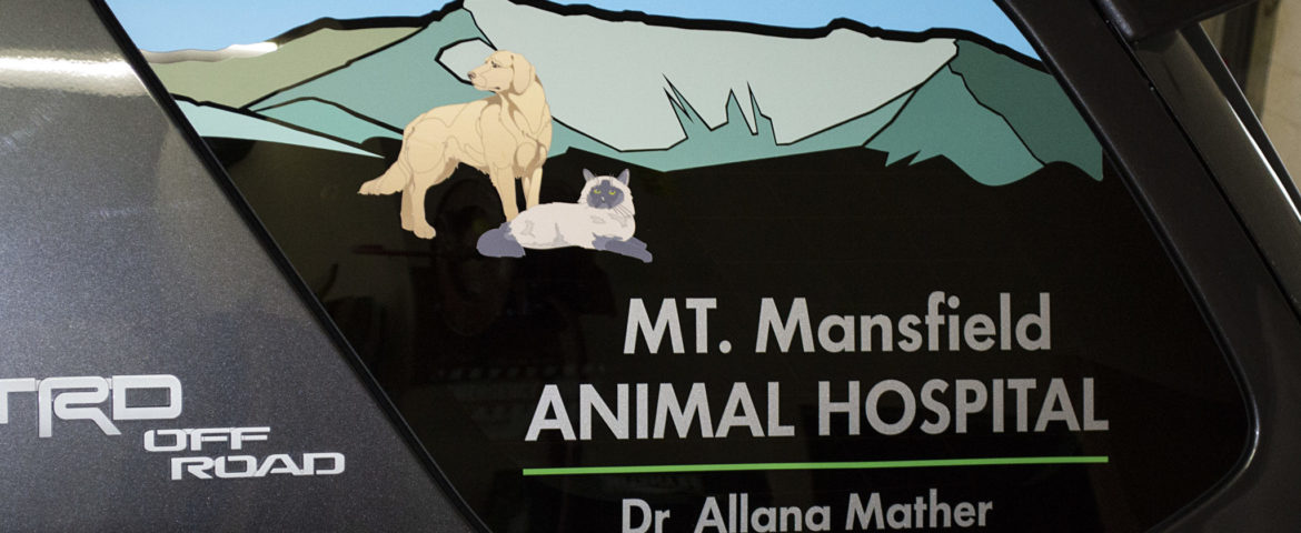MM Animal Hospital Truck Digital Print & Vinyl Lettering