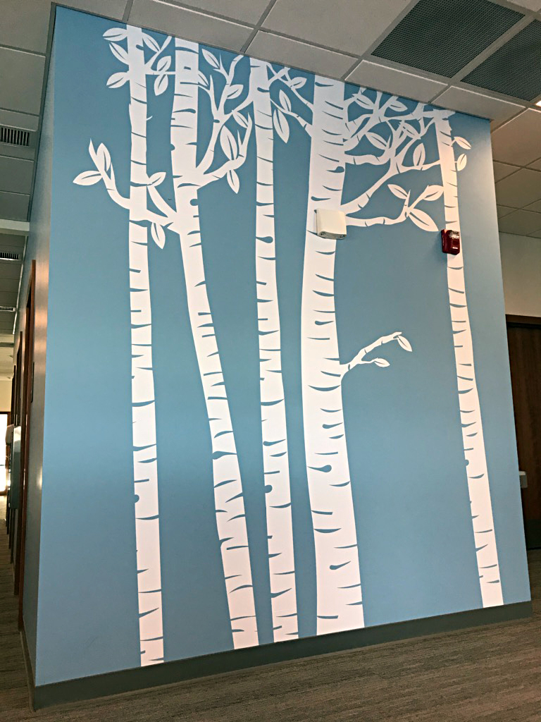 Vinyl Wall Graphic White birch tree decals are displayed on a light blue wall in an indoor office setting.